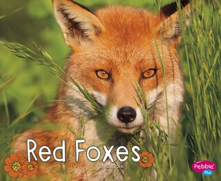 Front cover_Red Foxes