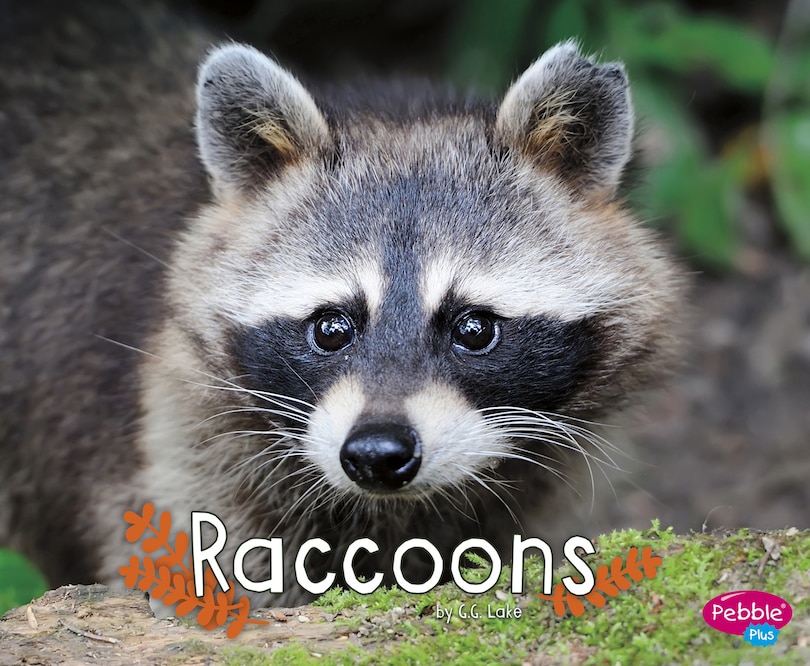 Couverture_Raccoons