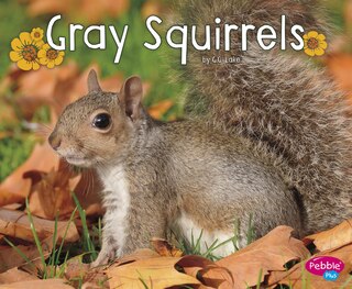 Front cover_Gray Squirrels