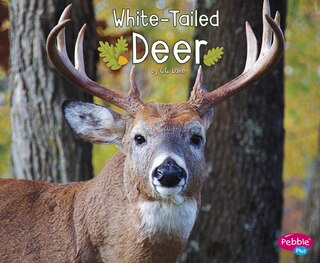 Front cover_White-Tailed Deer