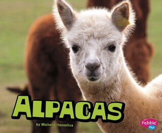 Front cover_Alpacas