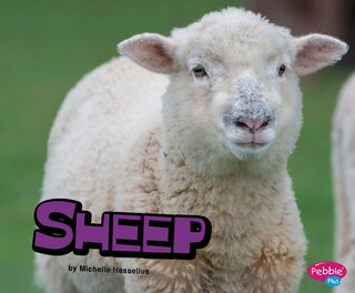 Couverture_Sheep