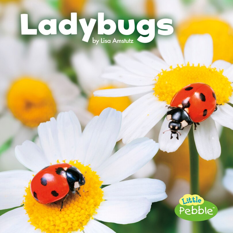 Couverture_Ladybugs
