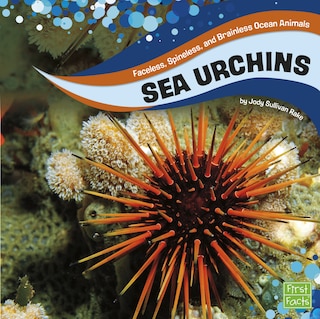 Couverture_Sea Urchins