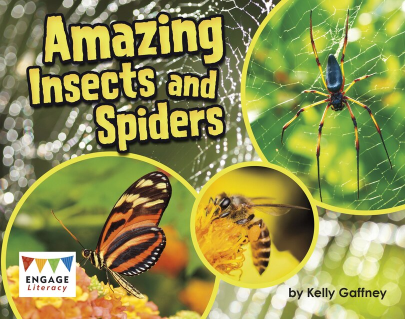 Couverture_Amazing Insects and Spiders
