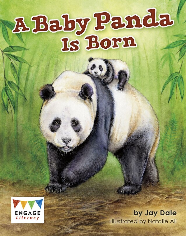 Front cover_A Baby Panda is Born