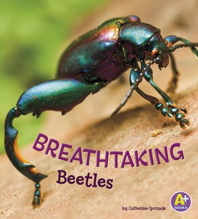 Front cover_Breathtaking Beetles