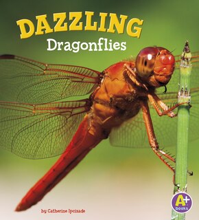 Front cover_Dazzling Dragonflies