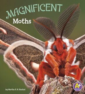 Front cover_Magnificent Moths