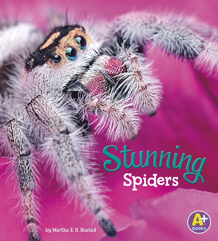 Couverture_Stunning Spiders
