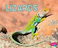 Couverture_Lizards