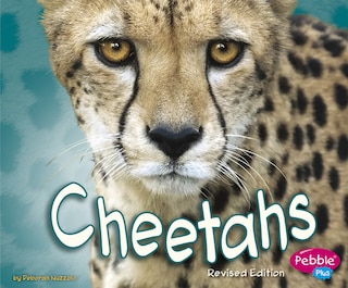 Cheetahs