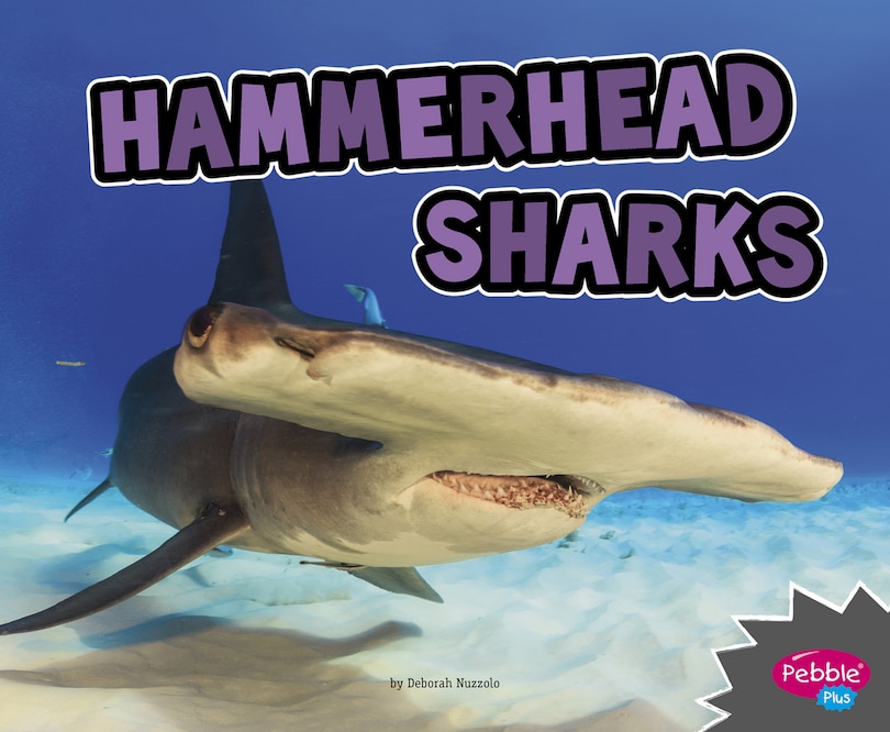 Front cover_Hammerhead Sharks