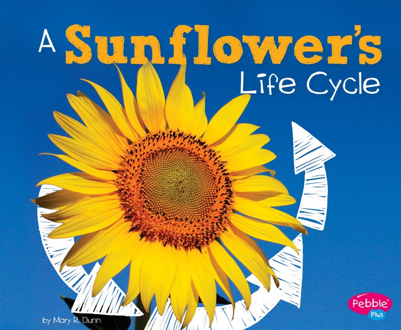 Front cover_A Sunflower's Life Cycle
