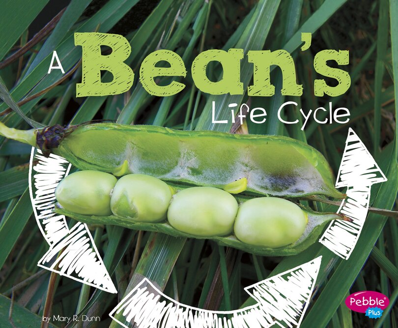 Front cover_A Bean's Life Cycle