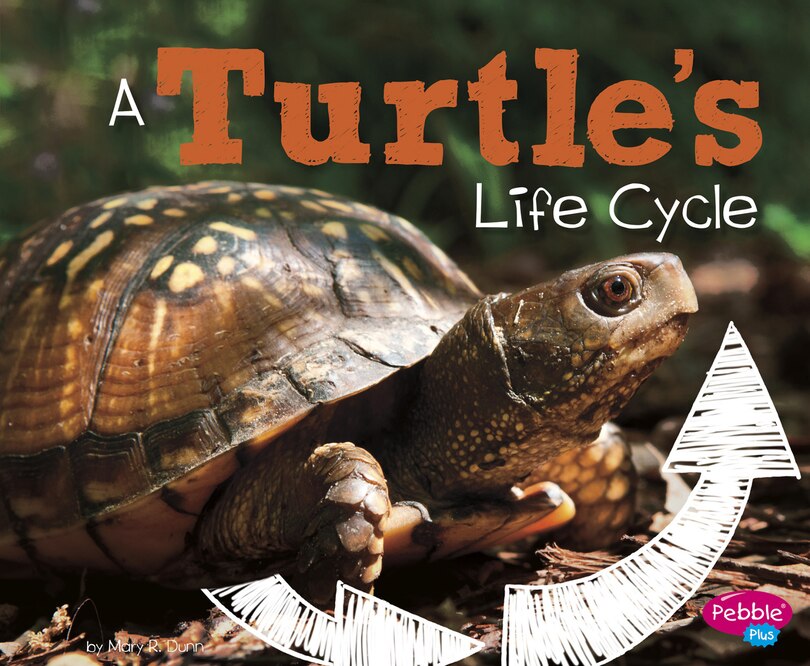 Couverture_A Turtle's Life Cycle