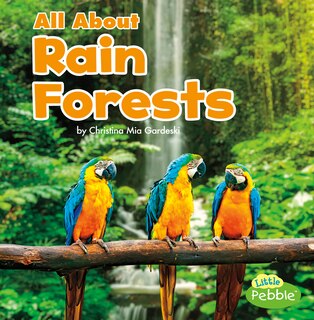 All About Rain Forests