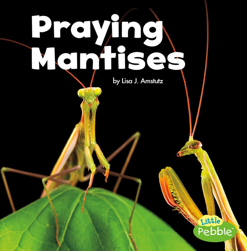Front cover_Praying Mantises