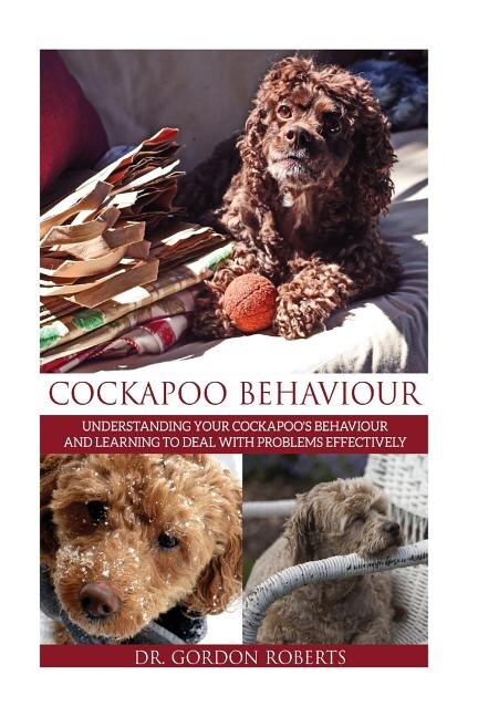 Cockapoo Behaviour: Understanding your Cockapoo's Behaviour and Learning to Deal with Problems Effectively
