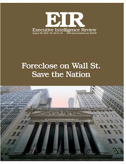 Front cover_Foreclose on Wall Street!