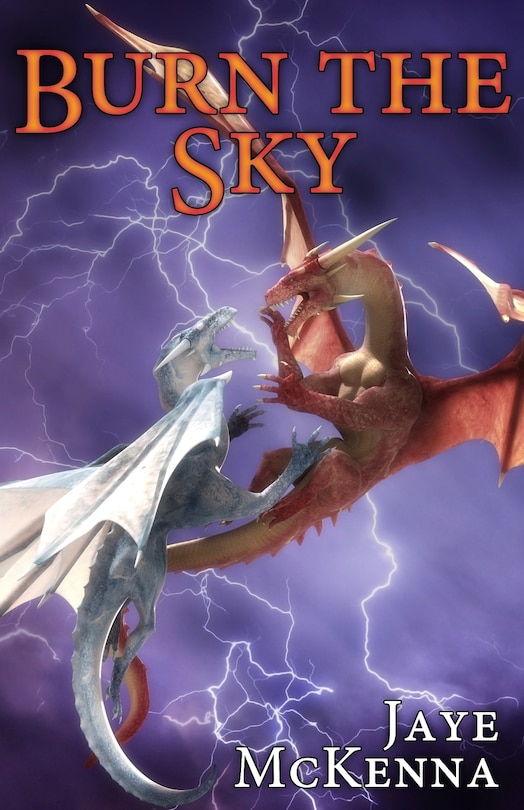 Front cover_Burn the Sky