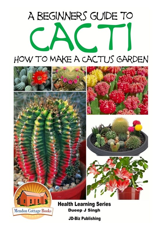 A Beginner's Guide To Cacti - How To Make A Cactus Garden | Indigo