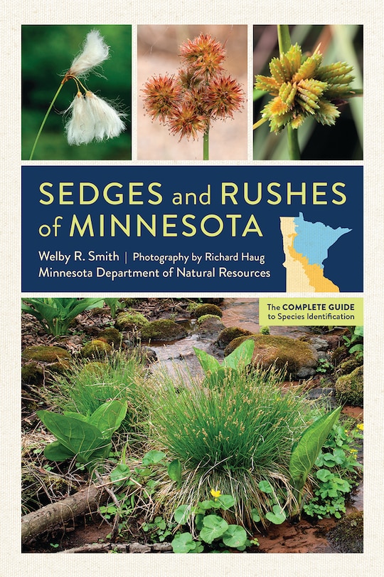 Front cover_Sedges And Rushes Of Minnesota