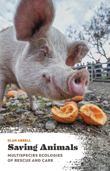 Front cover_Saving Animals