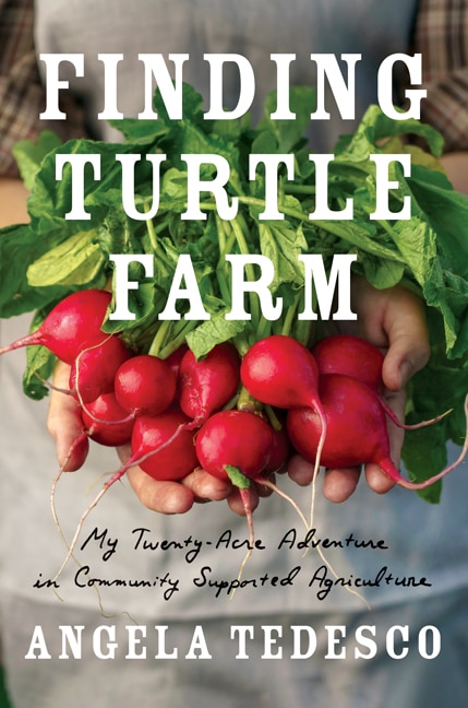 Front cover_Finding Turtle Farm