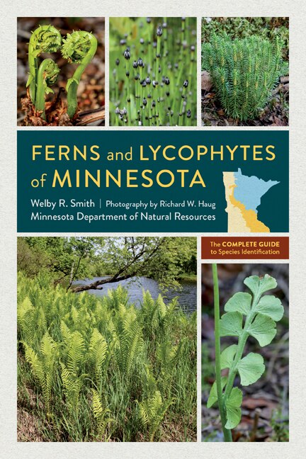 Couverture_Ferns and Lycophytes of Minnesota