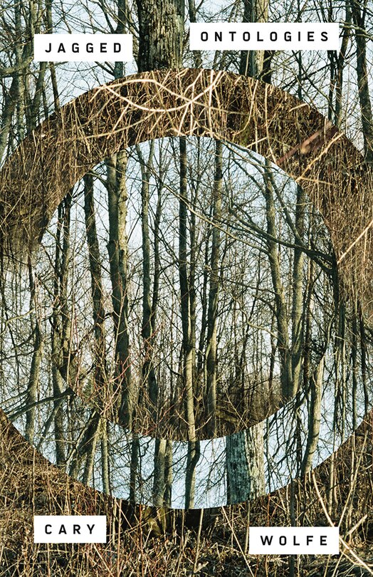 Front cover_Jagged Ontologies