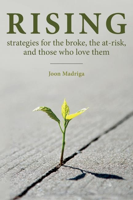 Rising: Strategies for the Broke, the At-Risk, and Those Who Love Them