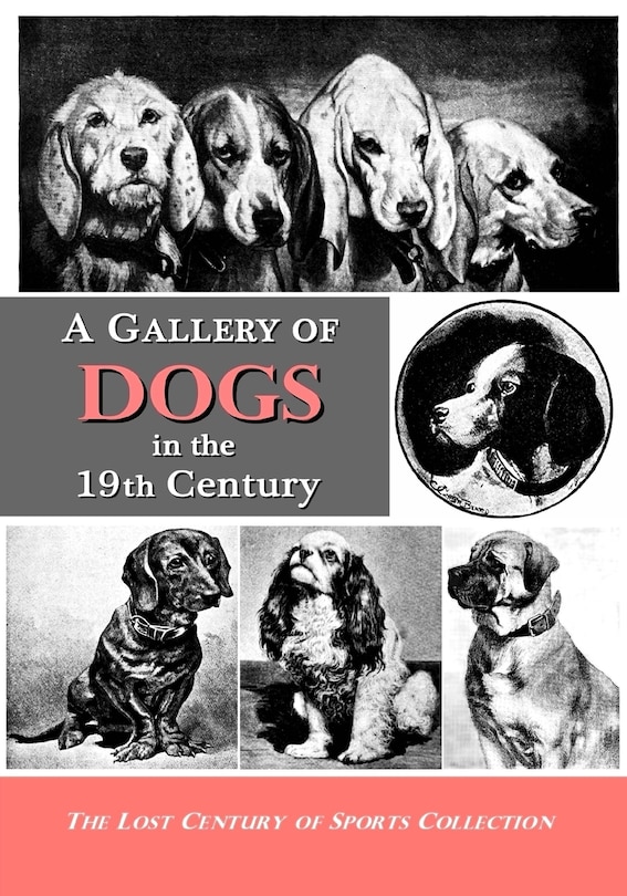 A Gallery Of Dogs In The 19th Century: 350 Photographs & Illustrations From 50 Books & Magazines Published From 1858 To 1898