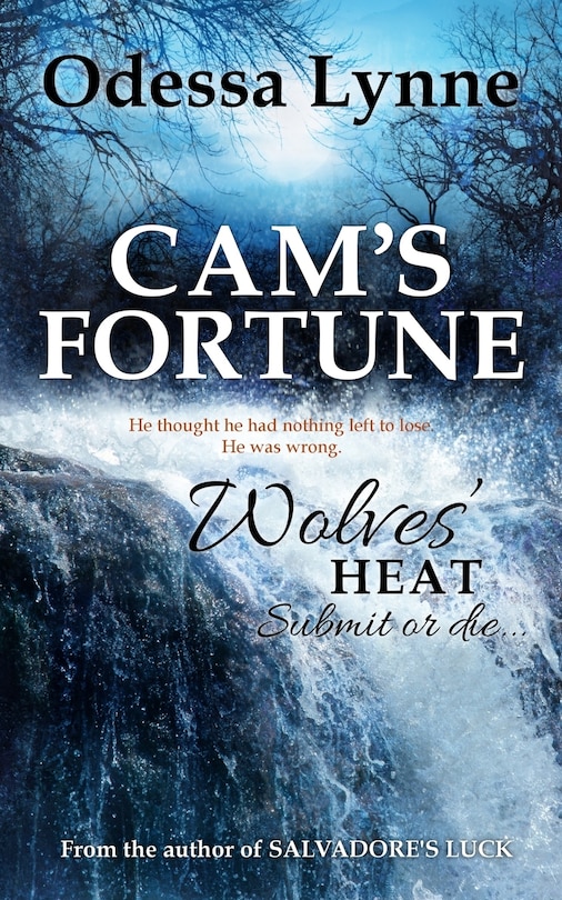Front cover_Cam's Fortune