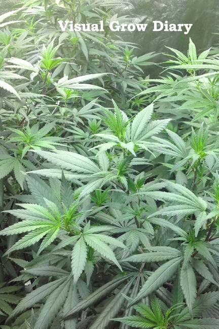 Front cover_Visual Grow Diary