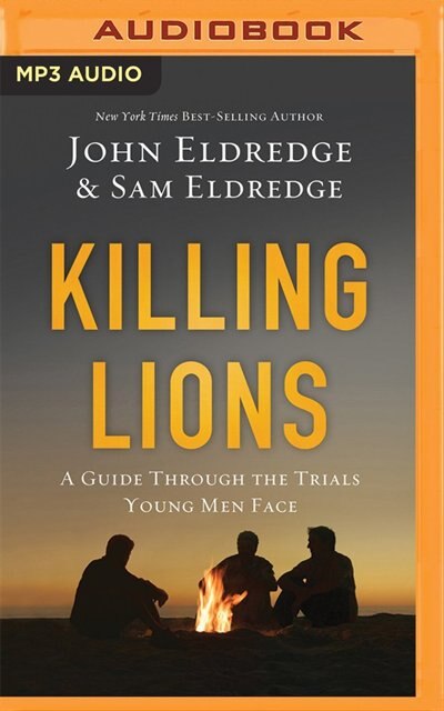 Couverture_Killing Lions