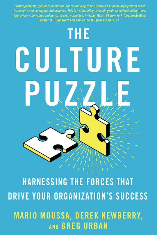 Front cover_The Culture Puzzle