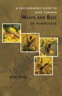 A Photographic Guide To Some Common Wasps And Bees Of Minnesota