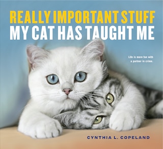 Front cover_Really Important Stuff My Cat Has Taught Me