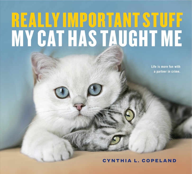 Front cover_Really Important Stuff My Cat Has Taught Me
