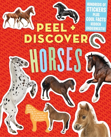 Peel + Discover: Horses