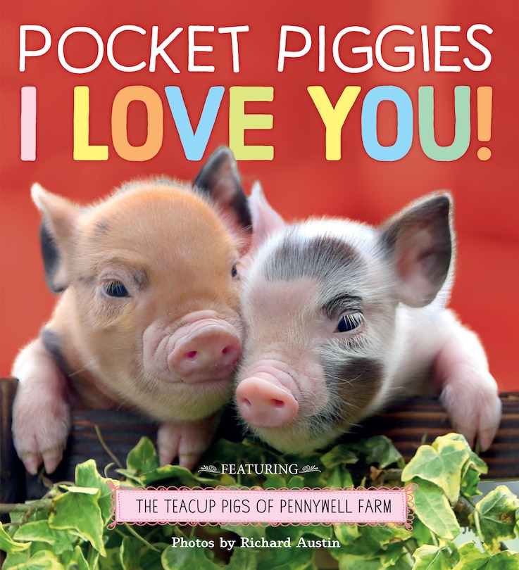 Front cover_Pocket Piggies: I Love You!