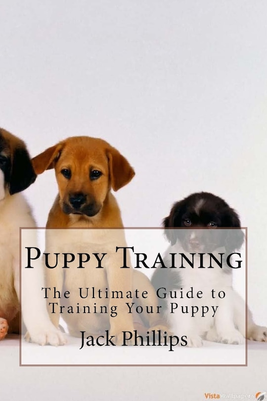Couverture_Puppy Training