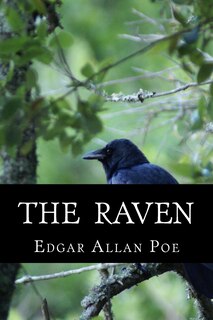 Front cover_The Raven