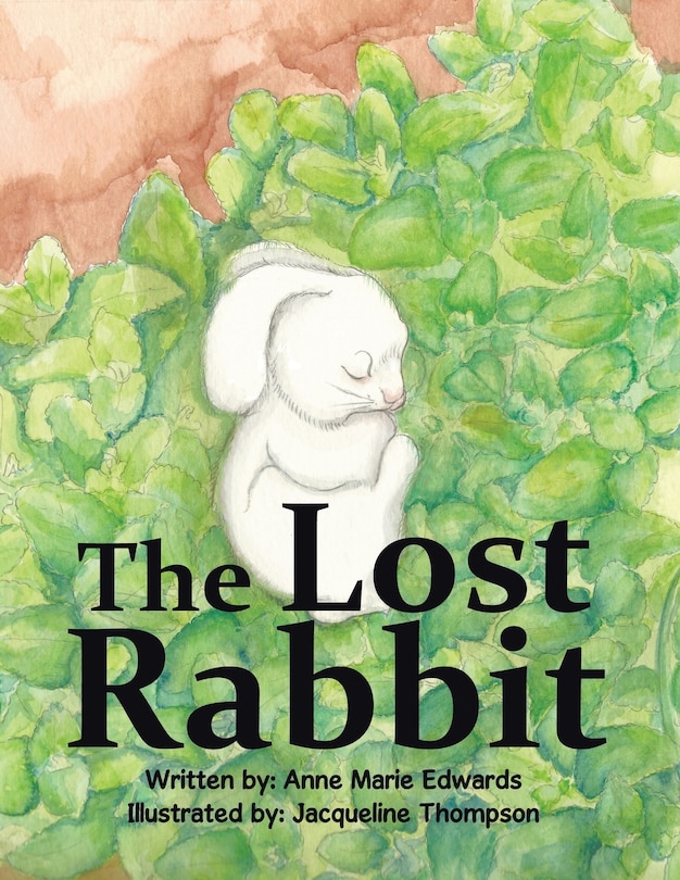 Front cover_The Lost Rabbit