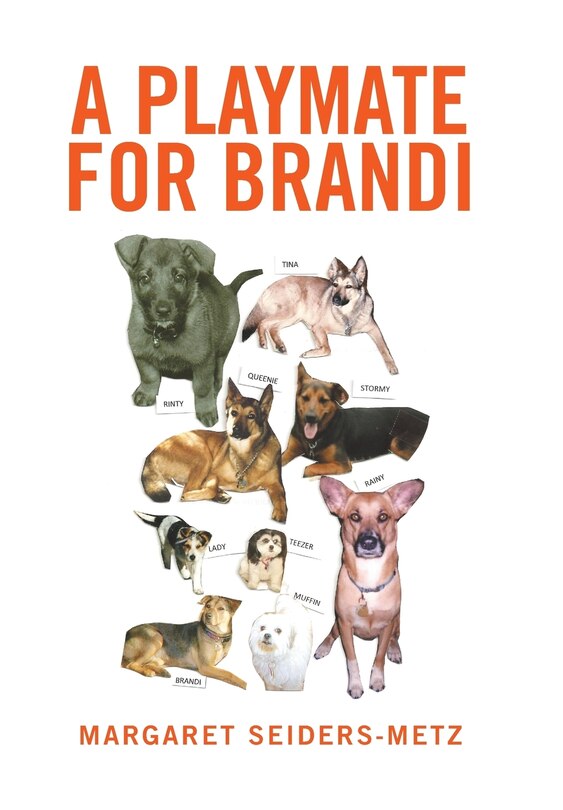 Front cover_A Playmate for Brandi