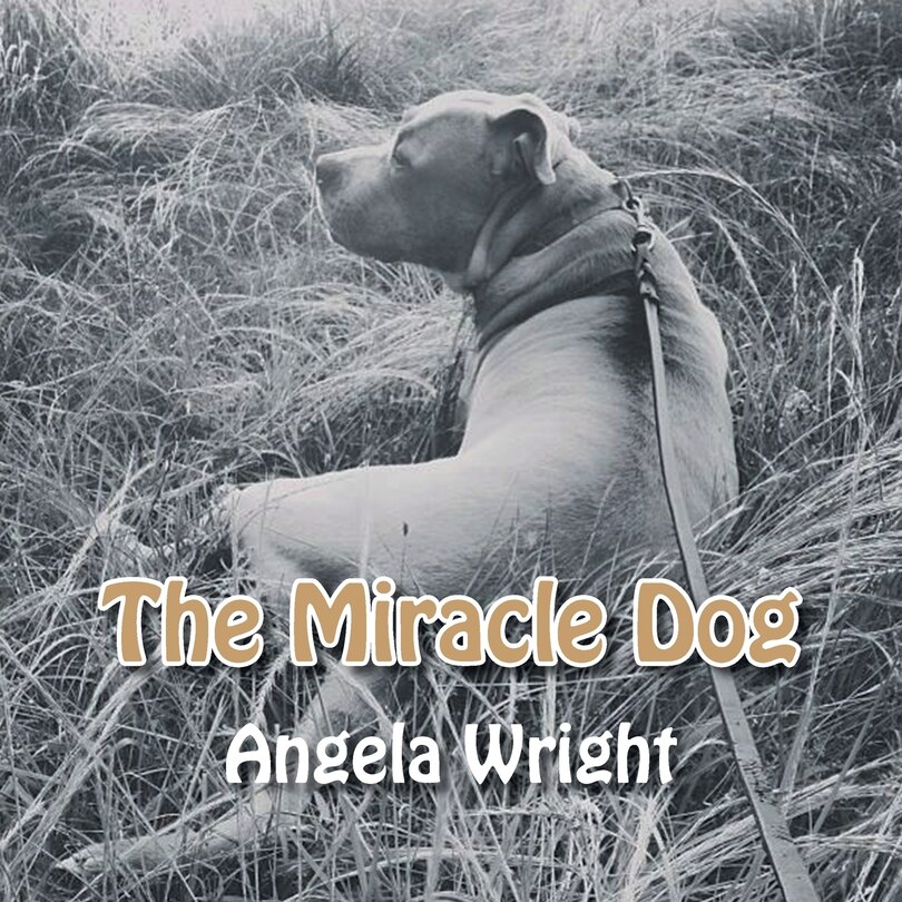 Front cover_The Miracle Dog