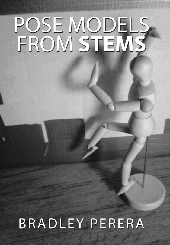 Couverture_Pose Models from Stems