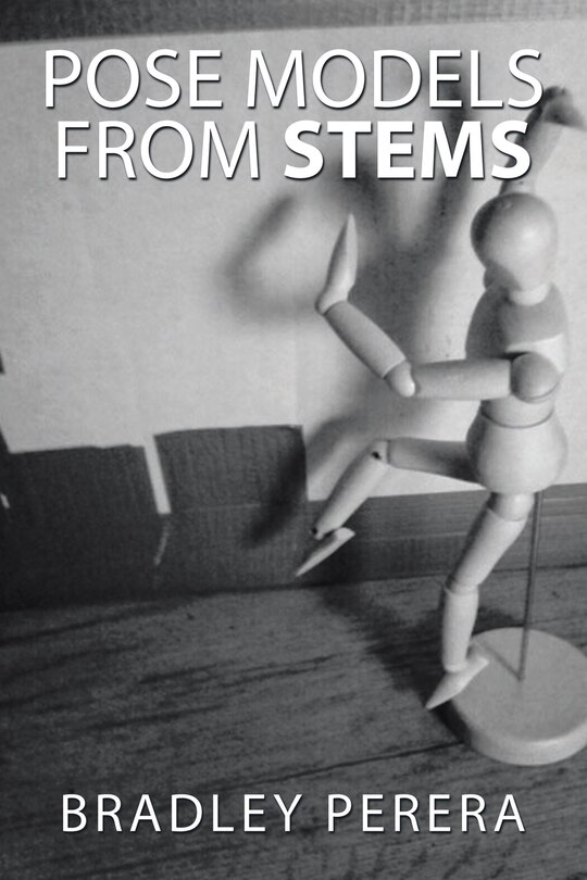 Couverture_Pose Models from Stems