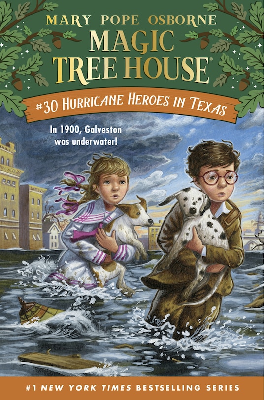 Couverture_Hurricane Heroes In Texas